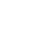 2LOGO LEONIS6 (kopie)